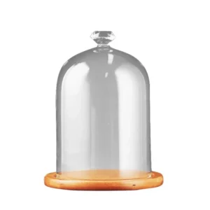 Smoke Infuser Cover Acrylic with wood Base